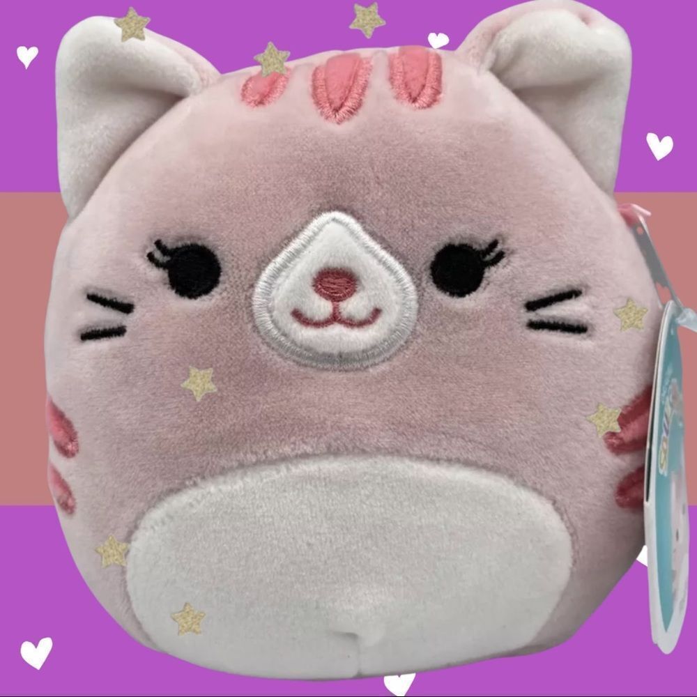 Squishmallows Paulita The Pink Tabby Cat 5” Walgreens Exclusive Christmas 2021